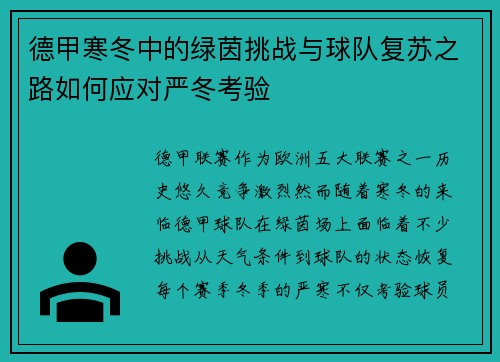 德甲寒冬中的绿茵挑战与球队复苏之路如何应对严冬考验